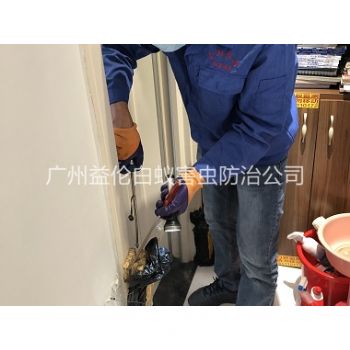 越秀上门防治白蚁工程